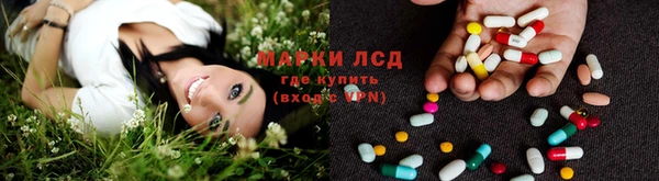 PSILOCYBIN Белокуриха